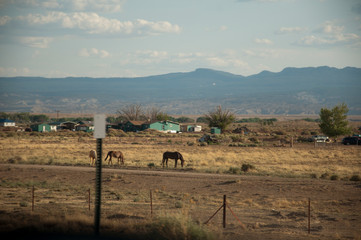 Obraz premium Simple houses in south west America with horses in front