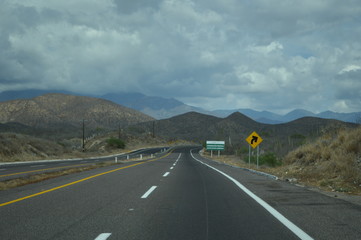 Naklejka premium Amarilo