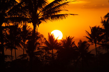 Obraz premium Natural Sunset Sunrise Over Field Or Meadow. Bright Dramatic Sky And Dark Ground. Countryside Landscape Under Scenic Colorful Sky At Sunset Dawn Sunrise. Sun Over Skyline, Horizon. Warm Colours.