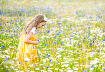 Little pretty girl in yellow Russian dress picking flowers in field of wild flowers on summer day.