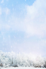 Snow falling softly against a blurred background of winter landscape of snow covered trees with large expanse of sky.