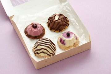 Nature Cookie with Sweet Cream Cheese in Package