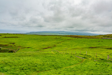 Obraz premium Beautiful landscape of the Irish countryside with green grass along the coastal walk route from Doolin to the Cliffs of Moher, Wild Atlantic Way, county Clare in Ireland