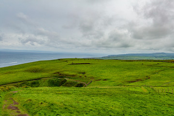 Fototapeta na wymiar Amazing landscape of the Irish countryside with grazing cattle and the sea on the coastal walk route from Doolin to the Cliffs of Moher, Wild Atlantic Way, county Clare in Ireland