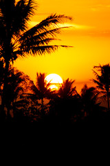 Natural Sunset Sunrise Over Field Or Meadow. Bright Dramatic Sky And Dark Ground. Countryside Landscape Under Scenic Colorful Sky At Sunset Dawn Sunrise. Sun Over Skyline, Horizon. Warm Colours.