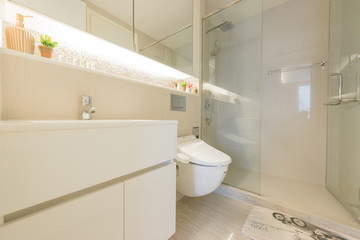 White toilet bowl