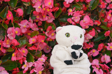 White toy kitten on the pink flowers background