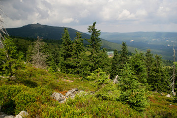 the view of the mountain Szrenica from the trail to the Sniezne Kotly / Snowy Kettles reserve in the Karkonosze / Krkonose /Giant Mountains in Poland