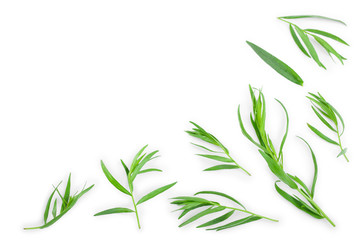 Obraz premium tarragon or estragon isolated on white background with copy space for your text. Artemisia dracunculus. Top view. Flat lay