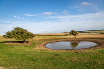 A dew pond on the top of Ditchling Beacon in Sussex, on a sunny summers evening