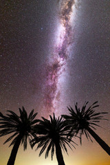 Fototapeta na wymiar Purple Milky way falling stars palm trees