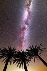 Purple Milky way falling stars palm trees