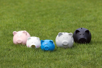 Different piggy banks on green grass outdoors