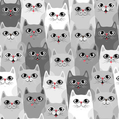 Leuke katten, kleurrijke naadloze patroonachtergrond met katten