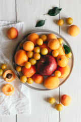 Apple, apricots and cherry-plums on a white plate.