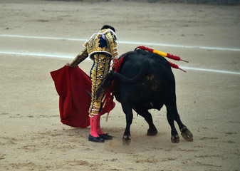 toreo en espa&ntilde;a en plaza de toros
