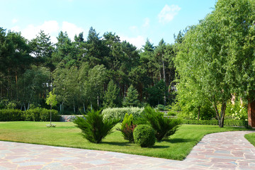Picturesque landscape with beautiful green garden on sunny day