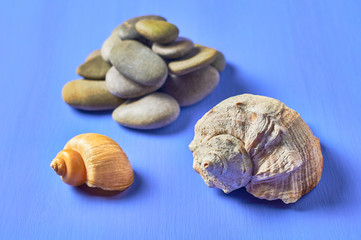 Heap of gravel stones near seashells scattered on blue scratched concrete