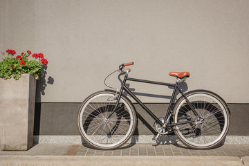 Fototapeta na wymiar bicycle and red flower in flowerpot near grey wall on street