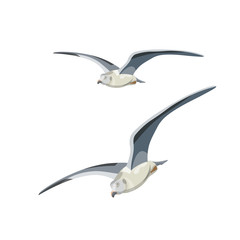 Flying seagulls vector