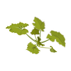 Young seedlings vector