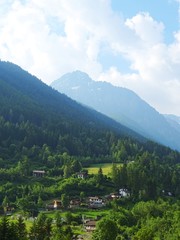 Fototapeta na wymiar The Alps of Val Camonica near the town of Vezza D'oglio, Italy - June 2019.