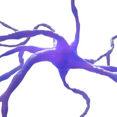 Fototapeta premium Neuron Cell isolated