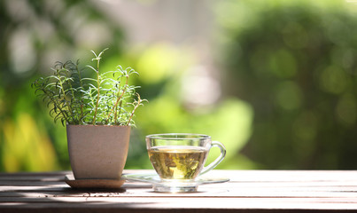 Hot tea cup on table and nature background