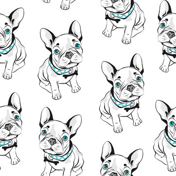 French bulldog seamless pattern on white background. Vector illustration. Hand drawn funny dogs with blue eyes.