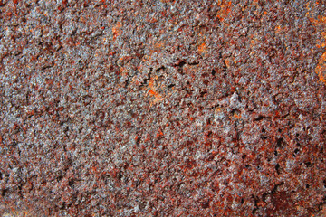 Rusted metal sheet. Close-up. Background. Texture.