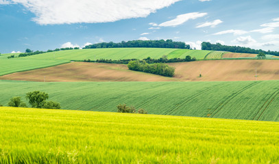 Obraz premium European rural landscape