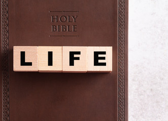 Life Spelled in Blocks on a Leather Holy Bible