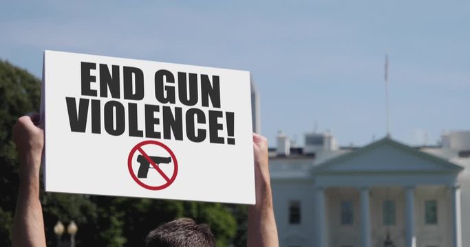 A man holds a END GUN VIOLENCE protest sign in front of the White House on a sunny summer day.	 	