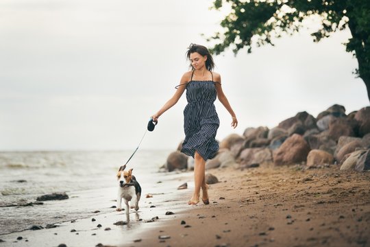 Image of happy woman 20s hugging her dog while walking along the beach
