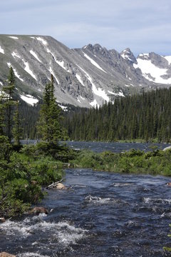 Rocky Mountains Snow River Green Trees Pine