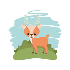 cute deer with background landscape