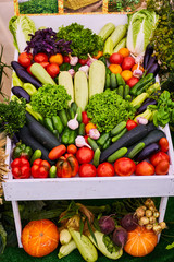 Fresh farm vegetables close-up. Potatoes, turnips, pumpkin