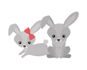 cute couple of rabbits on white background