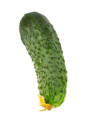 fresh cucumbers isolated on white background