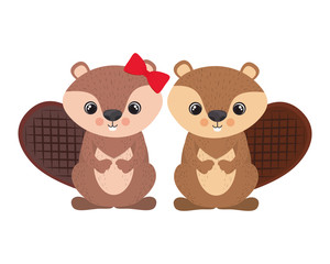cute couple of chipmunk on white background