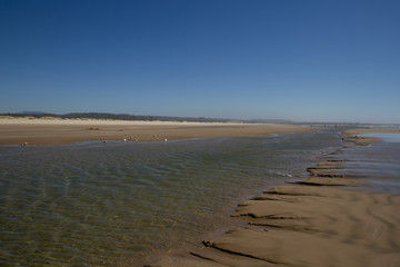 Low Tide in Newport Oregon
