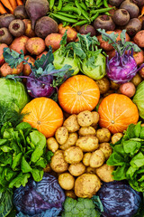 Fresh farm vegetables close-up. Potatoes, turnips, pumpkin