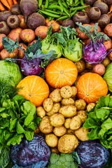 Gordijnen Fresh farm vegetables close-up. Potatoes, turnips, pumpkin © Dima Anikin