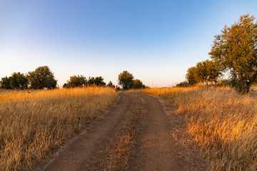 Fototapeta premium Pôr-do-sol no campo