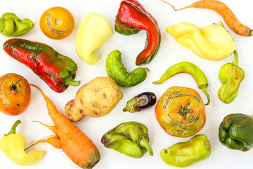 Trendy Ugly Organic Vegetables: potatoes, carrots, cucumber, peppers, chili, eggplant and tomatoes...