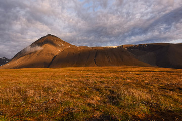 Fototapeta na wymiar Wallpaper norway landscape nature of the mountains of Spitsbergen Longyearbyen Svalbard on a flowers polar day with arctic summer in the sunset 