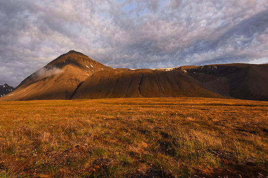 Wallpaper norway landscape nature of the mountains of Spitsbergen Longyearbyen Svalbard   on a flowers polar day with arctic summer in the sunset 