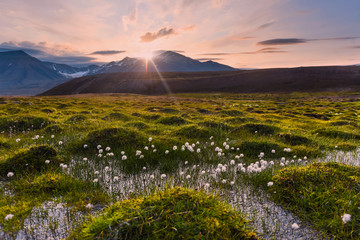 Wallpaper norway landscape nature of the mountains of Spitsbergen Longyearbyen Svalbard   on a flowers polar day with arctic summer in the sunset 