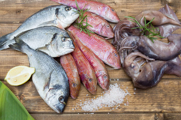 Fresh seafood on wooden background