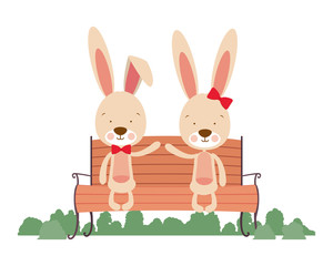 cute couple of bunnies sitting on park chair